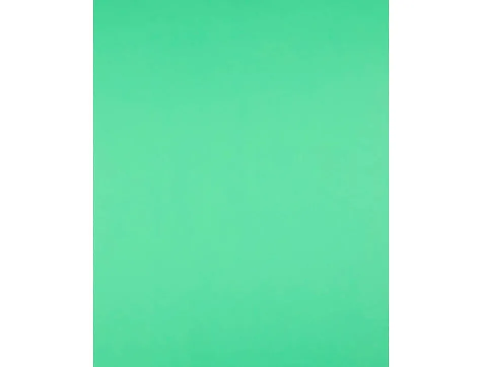 Papier cartonne liderpapel 50x65cm 240gr coloris vert pistache paquet 25 feuilles