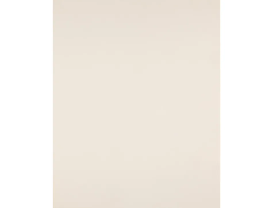 Papier cartonne liderpapel 50x65cm 240gr coloris creme paquet 25 feuilles