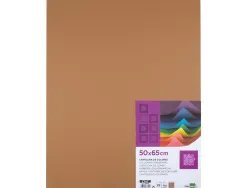 Papier cartonne liderpapel 50x65cm 180gr coloris marron clair paquet 25 feuilles