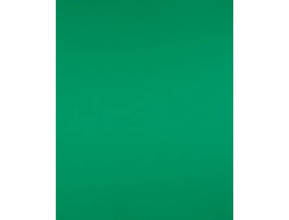 Papier cartonne liderpapel 50x65cm 180gr coloris vert noel paquet 25 feuilles