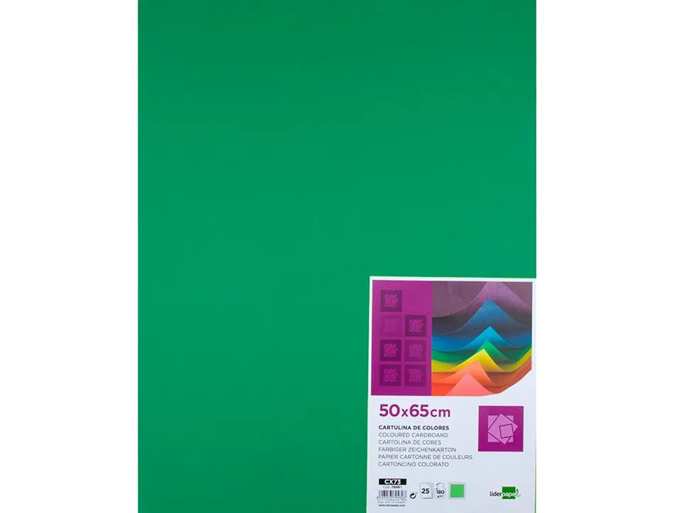 Papier cartonne liderpapel 50x65cm 180gr coloris vert noel paquet 25 feuilles