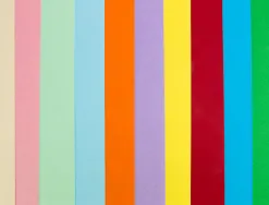 Papier cartonne liderpapel 50x65cm 180gr coloris assortis paquet 10 feuilles