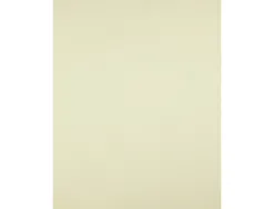 Papier cartonne liderpapel 50x65cm 180gr coloris jaune paquet 25 feuilles