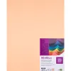 Papier cartonne liderpapel 50x65cm 240gr coloris sepia paquet 25 feuilles