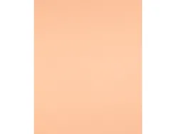 Papier cartonne liderpapel 50x65cm 240gr coloris sepia paquet 25 feuilles