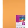 Papier cartonne liderpapel 50x65cm 240gr coloris noisette paquet 25 feuilles