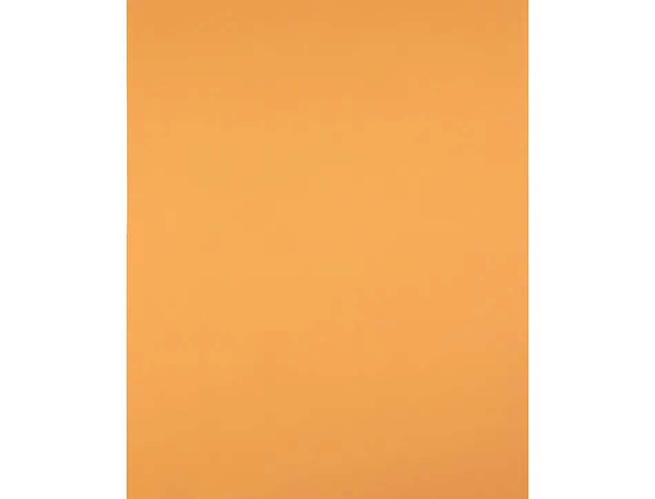 Papier cartonne liderpapel 50x65cm 240gr coloris noisette paquet 25 feuilles