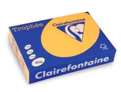 Papier clairefontaine multifonction laser couleur trophe a3 80g/m2 bouton parfaite opacite paquet 500