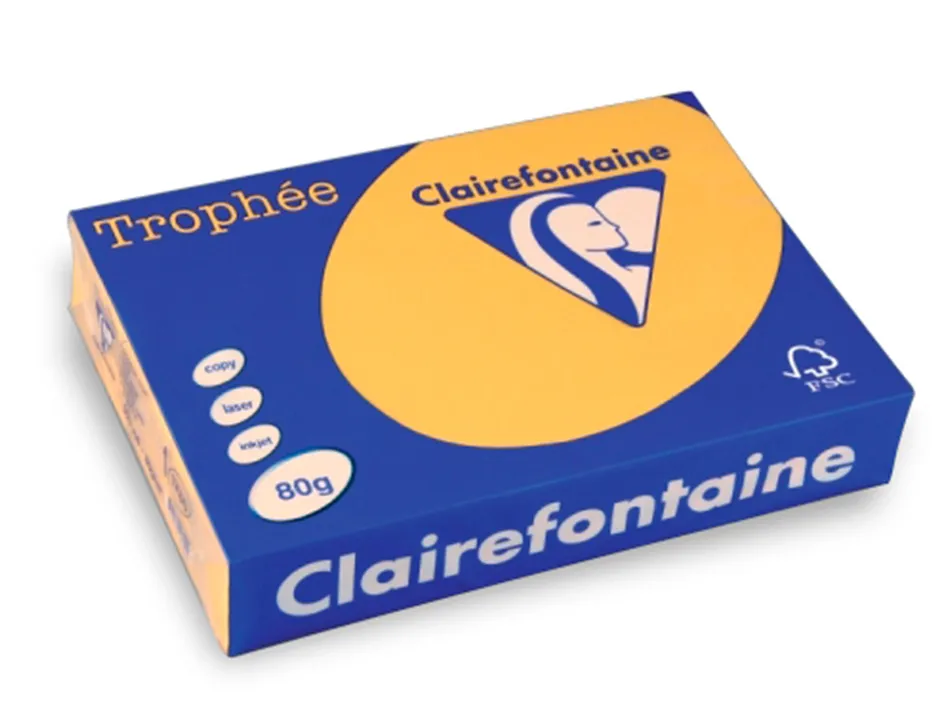 Papier clairefontaine multifonction laser couleur trophe a3 80g/m2 bouton parfaite opacite paquet 500