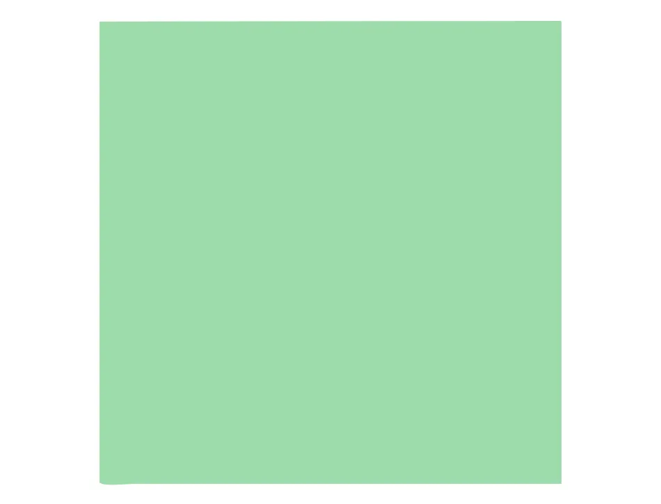 Papier clairefontaine multifonction laser couleur trophe a3 80g/m2 vert nature parfaite opacite paquet 500