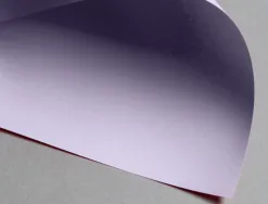 Papier clairefontaine multifonction laser couleur trophe a4 160g/m2 lilas parfaite opacite paquet 250