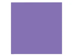 Papier clairefontaine multifonction laser couleur trophe a3 80g/m2 violine parfaite opacite paquet 500