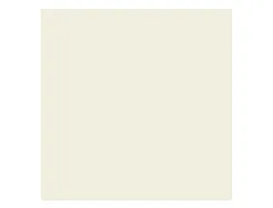 Papier clairefontaine multifonction laser couleur trophe a3 80g/m2 gris perle parfaite opacite paquet 500