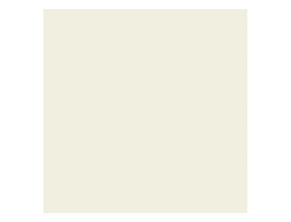 Papier clairefontaine multifonction laser couleur trophe a3 80g/m2 gris perle parfaite opacite paquet 500