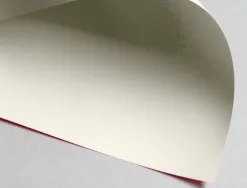 Papier clairefontaine multifonction laser couleur trophe a3 80g/m2 gris perle parfaite opacite paquet 500