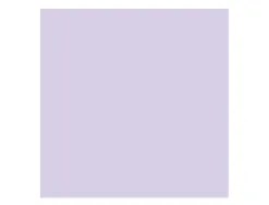 Papier clairefontaine multifonction couleur laser trophe a3 160g/m2 lilas parfaite opacite paquet 250