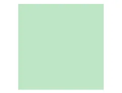 Papier clairefontaine multifonction laser couleur trophe a3 160g vert parfaite opacite paquet 250 feuilles
