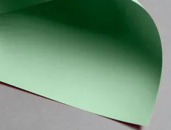 Papier clairefontaine multifonction laser couleur trophe a3 160g vert parfaite opacite paquet 250 feuilles