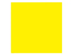 Papier clairefontaine multifonction laser couleur trophe a3 160g/m2 soleil parfaite opacite paquet 250