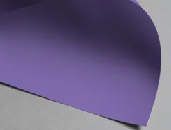 Papier clairefontaine multifonction laser couleur trophe a4 160g/m2violine parfaite opacite paquet 250