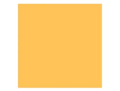 Papier clairefontaine multifonction laser couleur trophe a3 160g/m2 clementine parfaite opacite paquet 250