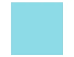 Papier clairefontaine multifonction laser couleur trophe a4 160g/m2 alizee bleu parfaite opacite paquet 250