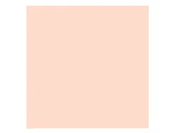 Papier clairefontaine multifonction laser couleur trophe a3 160g/m2saumon parfaite opacite paquet 250