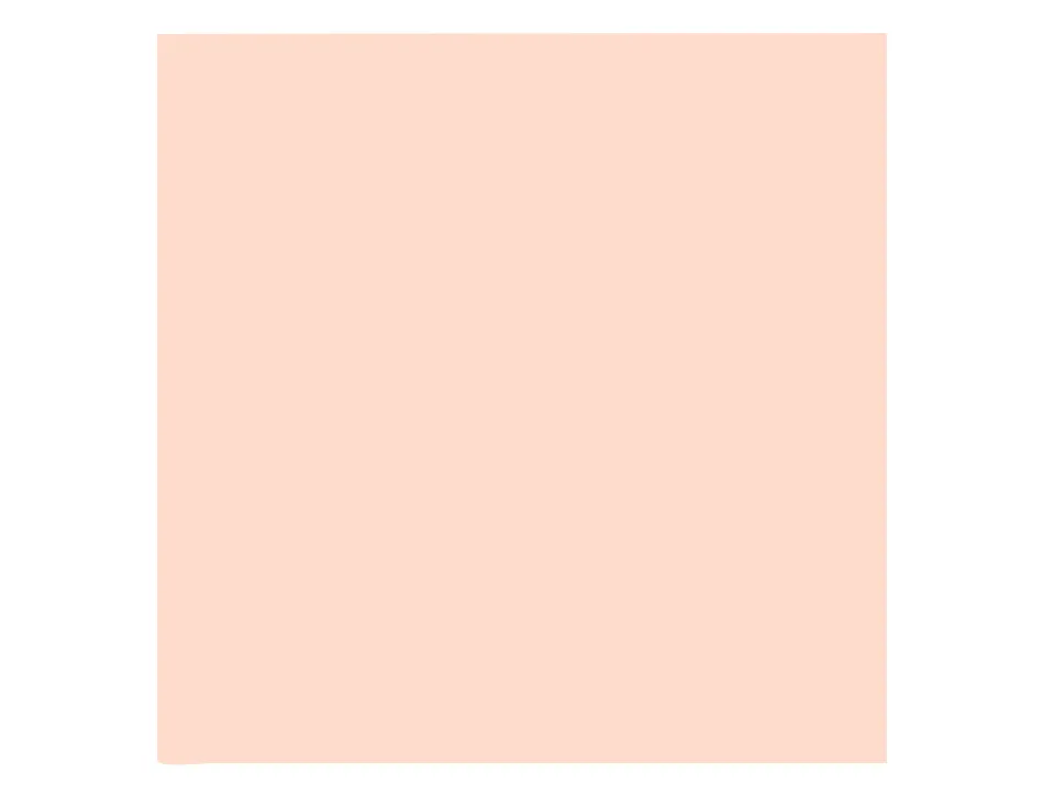 Papier clairefontaine multifonction laser couleur trophe a3 160g/m2saumon parfaite opacite paquet 250