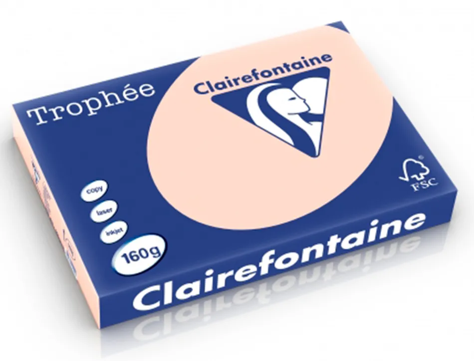 Papier clairefontaine multifonction laser couleur trophe a3 160g/m2saumon parfaite opacite paquet 250