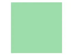 Papier clairefontaine multifonction laser couleur trophe a3 160g/m2 vert nature parfaite opacite paquet 250