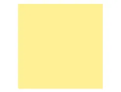 Papier clairefontaine multifonction laser couleur trophe a3 160g/m2 jonquille parfaite opacite paquet 250