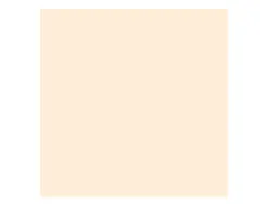 Papier clairefontaine multifonction laser couleur trophe a4 160g /m2 pastel chamois parfaite opacite