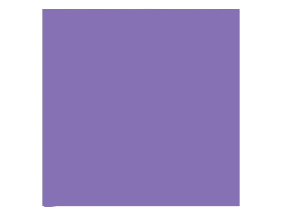 Papier clairefontaine multifonction laser couleur trophe a3 160g/m2 violine parfaite opacite paquet 250
