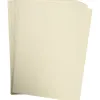 Papier couleur clairefontaine trophée multifonction a4 160g/m2 couleurs vives gris perle paquet 250 feuilles