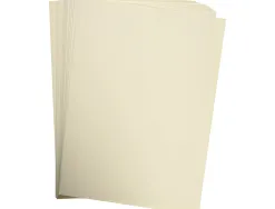 Papier couleur clairefontaine trophée multifonction a4 160g/m2 couleurs vives gris perle paquet 250 feuilles