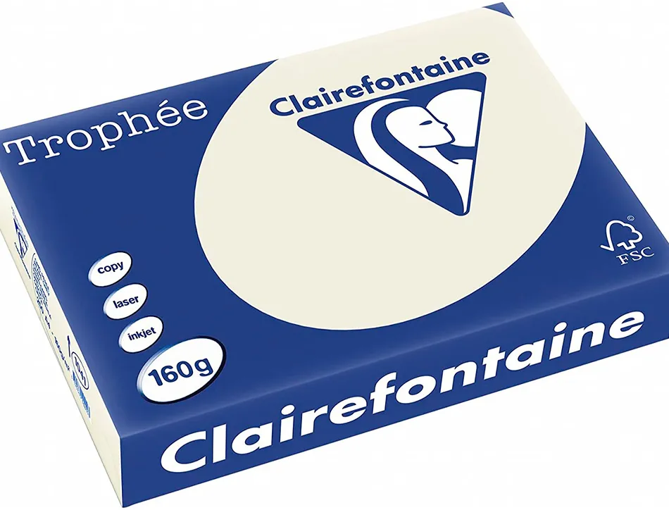 Papier couleur clairefontaine trophée multifonction a4 160g/m2 couleurs vives gris perle paquet 250 feuilles