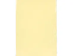 Papier couleur q-connect multifonction a4 80g/m2 5 coloris assortis clairs ramette 500 feuilles