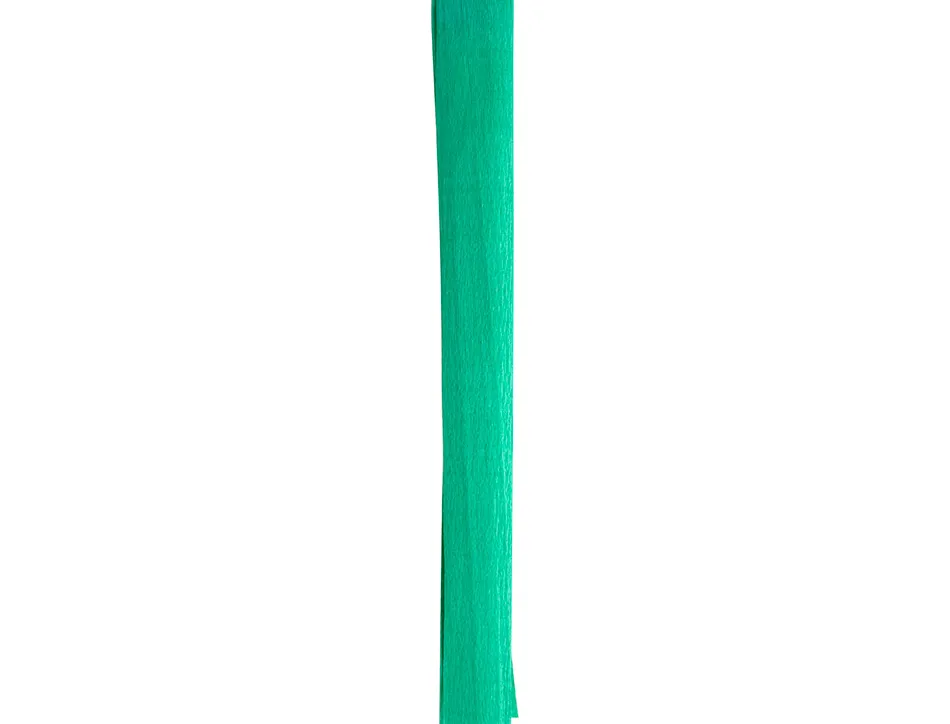 Papier crepon liderpapel rouleau 50cmx2,5m 85gr coloris vert