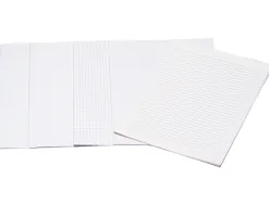 Papier écriture liderpapel 31x42.8cm ouvert copie double 60g/m2 quadrillage 4mm coloris blanc paquet 250f