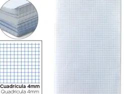 Papier écriture liderpapel 31x42.8cm ouvert copie double 60g/m2 quadrillage 4mm coloris blanc paquet 250f
