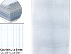 Papier écriture liderpapel 31x42.8cm ouvert copie double 60g/m2 quadrillage 6mm coloris blanc paquet 250f