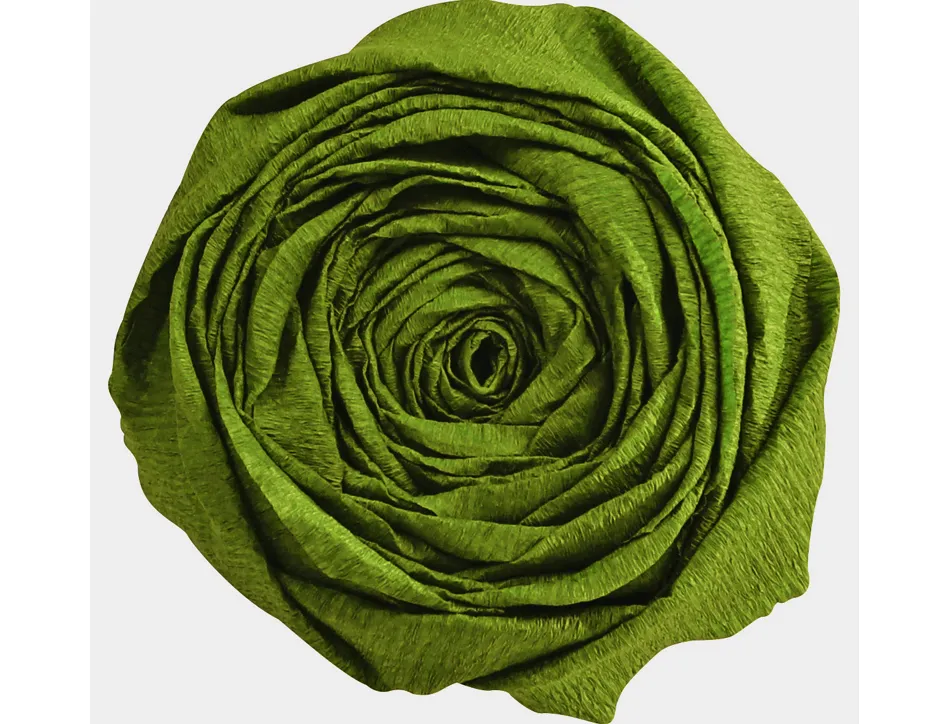 Papier crépon clairefontaine densité crêpage 60% 40g/m2 50cmx2.5m unicolore vert mousse