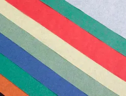Papier de soie liderpapel 18g/m2 format a4+ 240x315mm coloris assortis bloc 10f