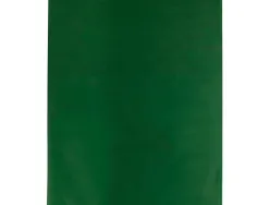 Papier de soie liderpapel 52x76cm 18g/m2 unicolore vert foncé sachet 25f