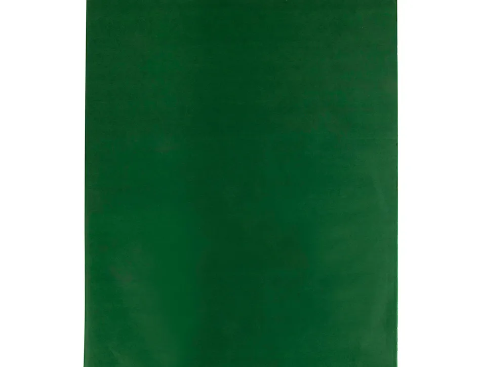 Papier de soie liderpapel 52x76cm 18g/m2 unicolore vert foncé sachet 25f