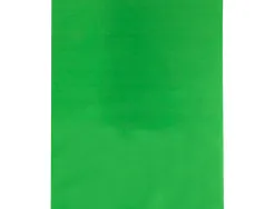 Papier de soie liderpapel 52x76cm 18g/m2 unicolore vert moyen sachet 25f