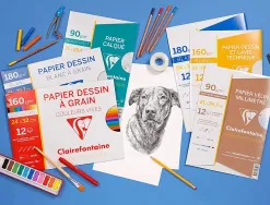 Papier dessin grain clairefontaine a3 assortiment vif 160gr 8f