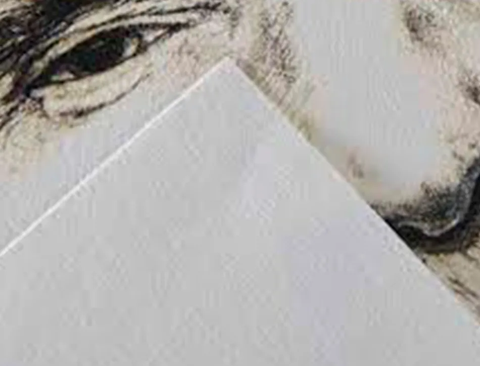 Papier dessin canson c a grain crayon encre gouache feutre 180g feuille 50x65cm