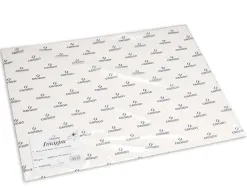 Papier dessin canson c a grain crayon encre gouache feutre 180g feuille 50x65cm