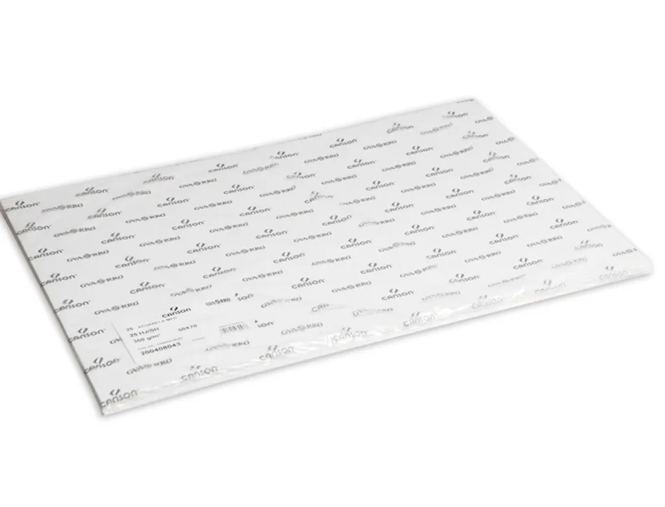 Papier dessin canson c a grain crayon encre gouache feutre 125g feuille 50x65cm